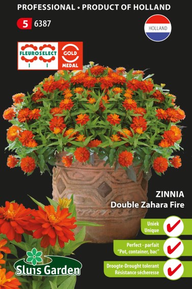 Zinnia marylandica Zahara Fire Double - 25 seeds